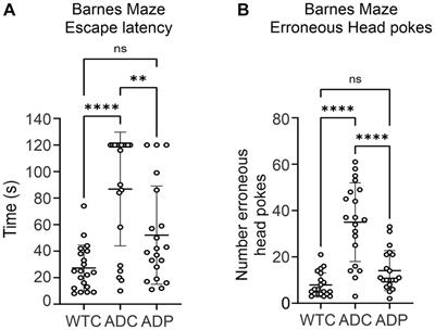 Slowing Alzheimer’s disease progression through probiotic supplementation